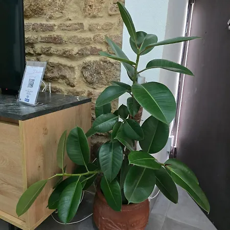 Casa Carmen De Austria Apartment Córdoba