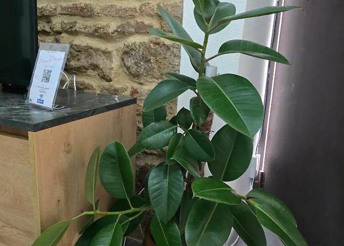 Casa Carmen De Austria Apartmán Córdoba