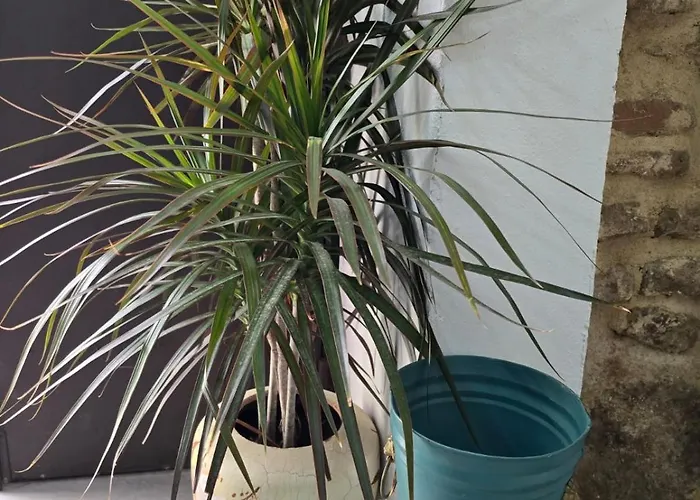 Casa Carmen De Austria Apartmán