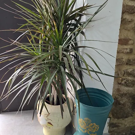 Casa Carmen De Austria Appartement